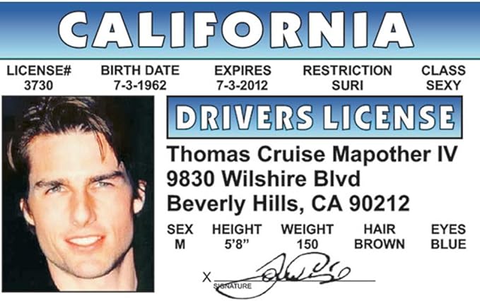 Signs 4 Fun Parody Driver’s License | CA - Tom ID | Fake ID Novelty Card