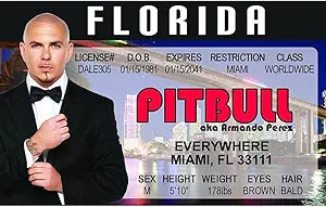 Signs 4 Fun Parody ID | Pitbull Driver’s License | Fake ID Novelty Card | Collectible Trading Card Driver’s License | Novelty Gift for Holidays | Made in The USA