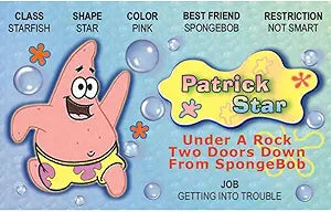 Signs 4 Fun Parody ID | Patrick Toon Driver’s License | Fake ID Novelty Card | Collectible Trading Card Driver’s License | Novelty Gift for Holidays | Made in The USA