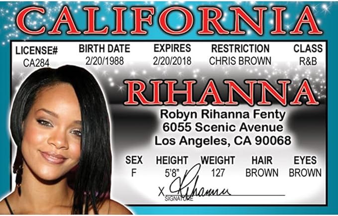 Signs 4 Fun Parody Driver’s License | Rihanna ID | Fake ID Novelty Card | Collectible Trading Card Driver’s License | Novelty Gift for Holidays | Made in The USA
