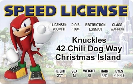 Signs 4 Fun Parody Driver’s License | Knuckles The Echidna ID