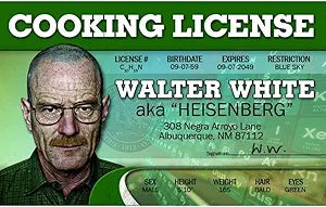 Signs 4 Fun Parody Driver’s License | Walter White ID | Fake ID Novelty Card | Collectible Trading Card Driver’s License | Novelty Gift for Holidays | Made in The USA