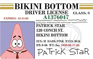 Signs 4 Fun Parody Driver’s License | Patrick ID | Fake ID Novelty Card | Collectible Trading Card Driver’s License | Novelty Gift for Holidays | Made in The USA