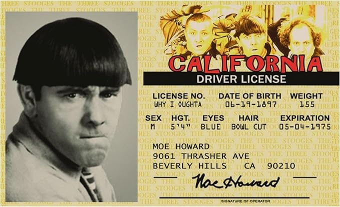 Signs 4 Fun Parody Driver’s License | Stooges - Moe ID | Fake ID Novelty Card | Collectible Trading Card Driver’s License | Novelty Gift for Holidays | Made in the USA