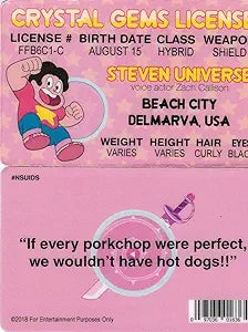 Signs 4 Fun Parody ID | Steven Universe ID | Fake ID Novelty Card | Collectible Trading Card Driver’s License | Novelty Gift for Holidays | Made in The USA