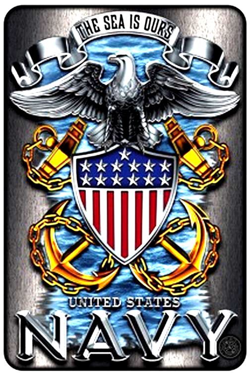 Signs 4 Fun Decorative Parking Sign | Navy-The Sea is Ours | 8 x12 | Embossed Aluminum Sign | Made in the USA | S4S2107