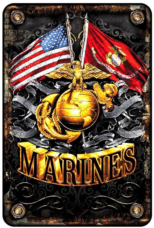 Signs 4 Fun Decorative Parking Sign | Marines Flags | 8 x12 | Embossed Aluminum Sign | Made in the USA | S4S2118