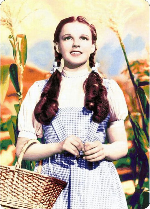 Signs 4 Fun Decorative Parking Sign | Wizard of Oz-Dorothy | 8 x12 | Embossed Aluminum Sign | Made in the USA | S4S4119