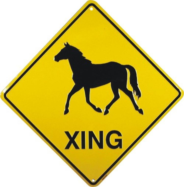 Signs 4 Fun Decorative Crossing Sign | Horse Xing | 12 x 12 | Embossed Aluminum Sign | Made in the USA | SDXQH