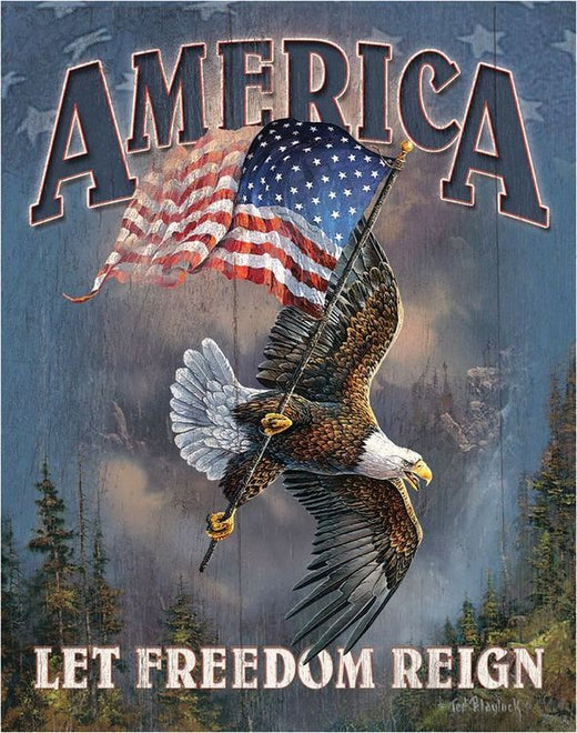Desperate Enterprises America - Let Freedom Reign Tin Sign, 12.5" W x 16" H