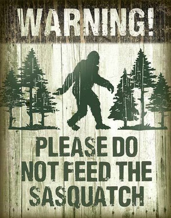 Desperate Enterprises Warning! Please Do Not Feed The Sasquatch Tin Sign - Nostalgic Vintage Metal Wall D cor - Made in USA