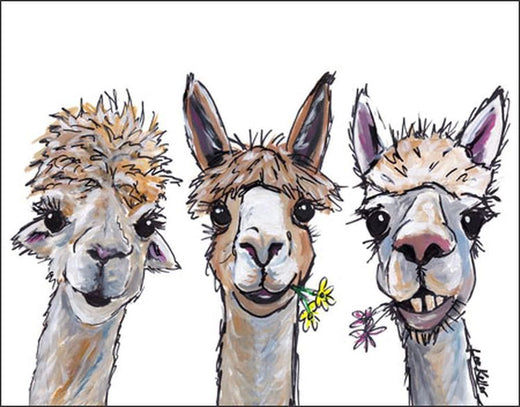 Desperate Enterprises Alpaca Trio Tin Sign - Nostalgic Vintage Metal Wall Décor - Made in USA