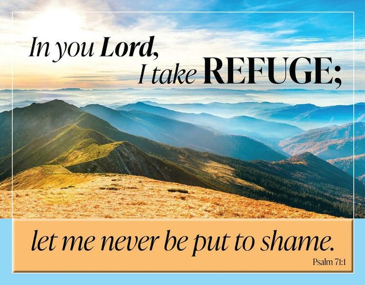 Desperate Enterprises In You Lord I Take Refuge Psalm 71:1 Tin Sign - Nostalgic Vintage Metal Wall D cor - Made in USA
