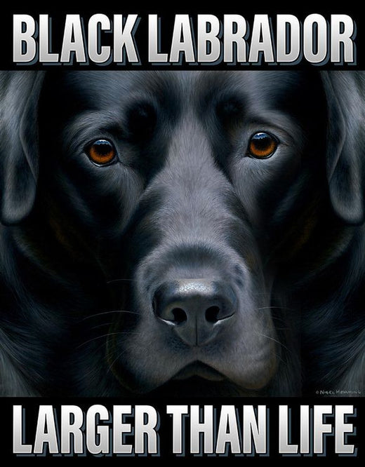 Desperate Enterprises Larger Than Life - Black Lab Tin Sign - Nostalgic Vintage Metal Wall Decor - Made in USA