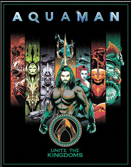 Desperate Enterprises DC Aquaman United Tin Sign - Nostalgic Vintage Metal Wall Decor - Made in USA