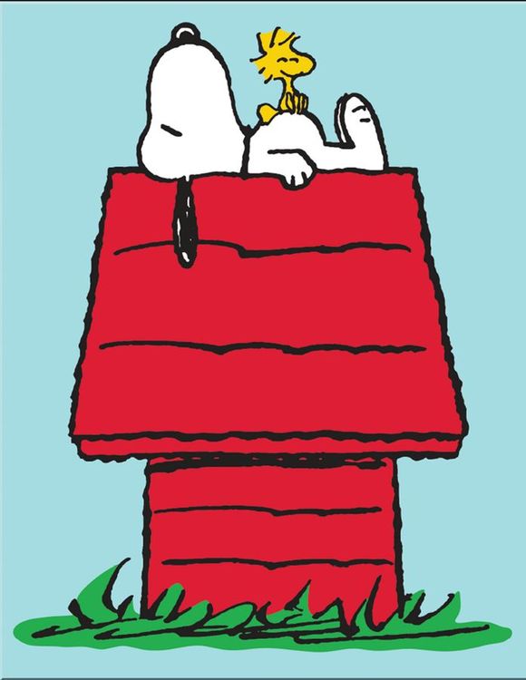 Desperate Enterprises Snoopy & Woodstock Tin Sign - Nostalgic Vintage Metal Wall Decor - Made in USA