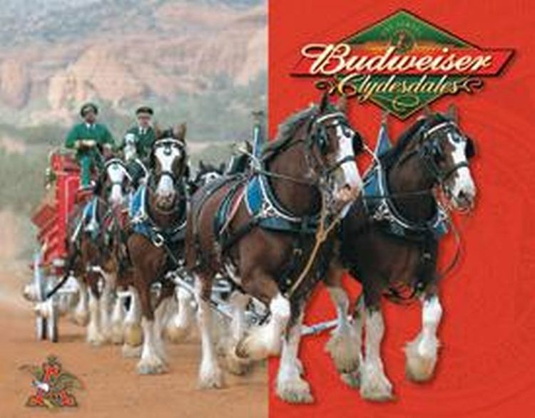 Desperate Enterprises SIG281 Budweiser Clydesdales Metal Tin Sign