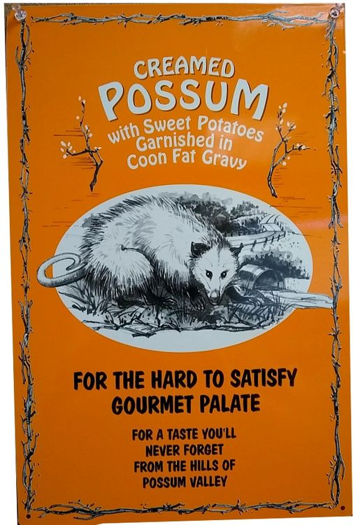 Signs 4 Fun SIG431 Creamed Possum Metal Sign, Orange