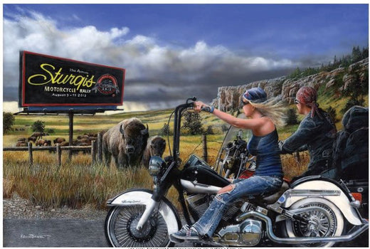 Signs 4 Fun SIG490 Heading for Sturgis Metal Sign, Blue