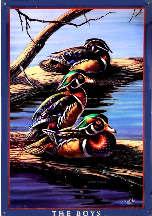 Signs 4 Fun SIGAW39 The Boys-Meger-Ducks Metal Sign, Brown