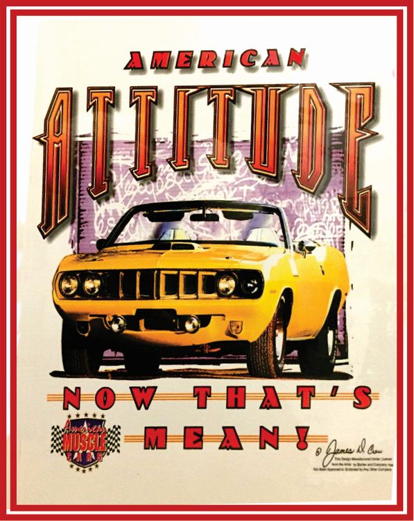 Signs 4 Fun SIGDO34 American Attitude Metal Sign, Red
