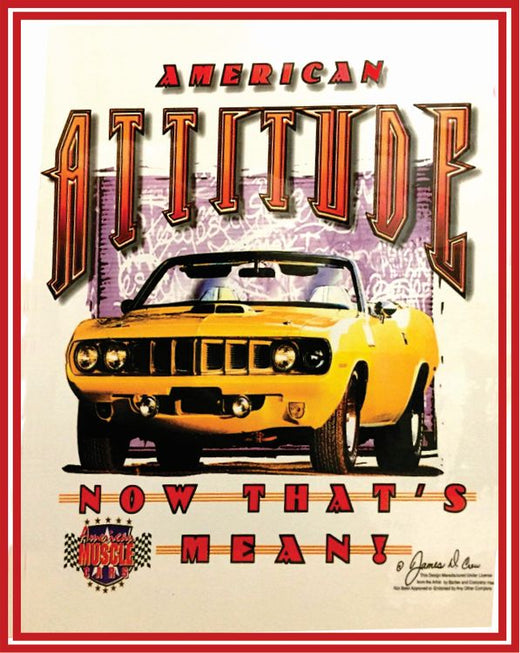 Signs 4 Fun SIGDO34 American Attitude Metal Sign, Red