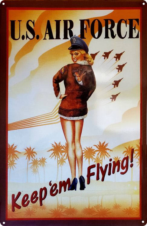 Signs 4 Fun SIGGP01 Air Force Girl-Keep em Flying Metal Sign, Brown
