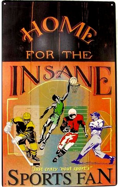 Signs 4 Fun SIGISF Insane Sports Fan Metal Sign, Orange