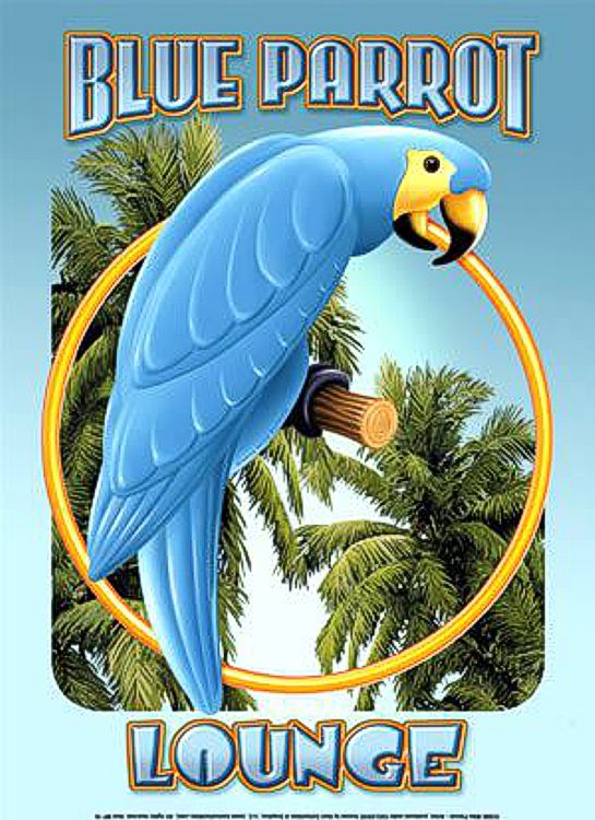 Signs 4 Fun SIGK16 Blue Parrot Lounge Metal Sign