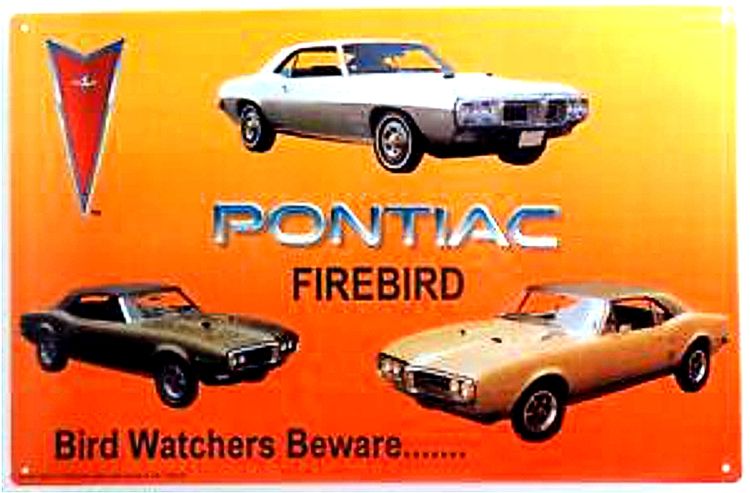 Signs 4 Fun SIGM500 Pontiac Firebird Metal Sign, Orange