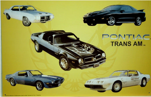 Signs 4 Fun SIGM501 Pontiac Trans Am Metal Sign, Black