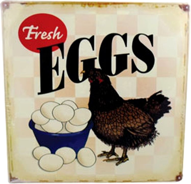 Signs 4 Fun SIGM610 Fresh Eggs II Metal Sign, Cream