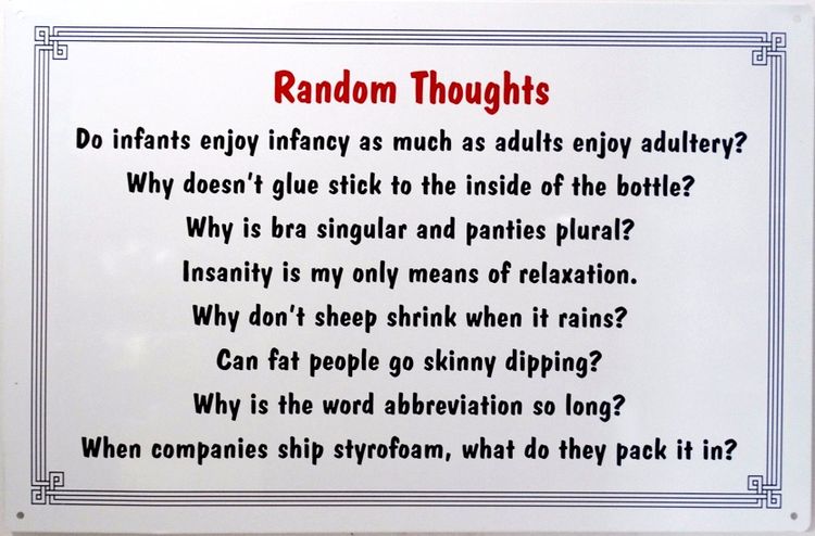 Signs 4 Fun SIGW14 Random Thoughts Metal Sign, Grey