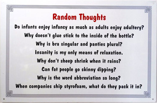 Signs 4 Fun SIGW14 Random Thoughts Metal Sign, Grey