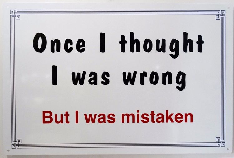 Signs 4 Fun SIGW5 Mistaken Metal Sign, Grey