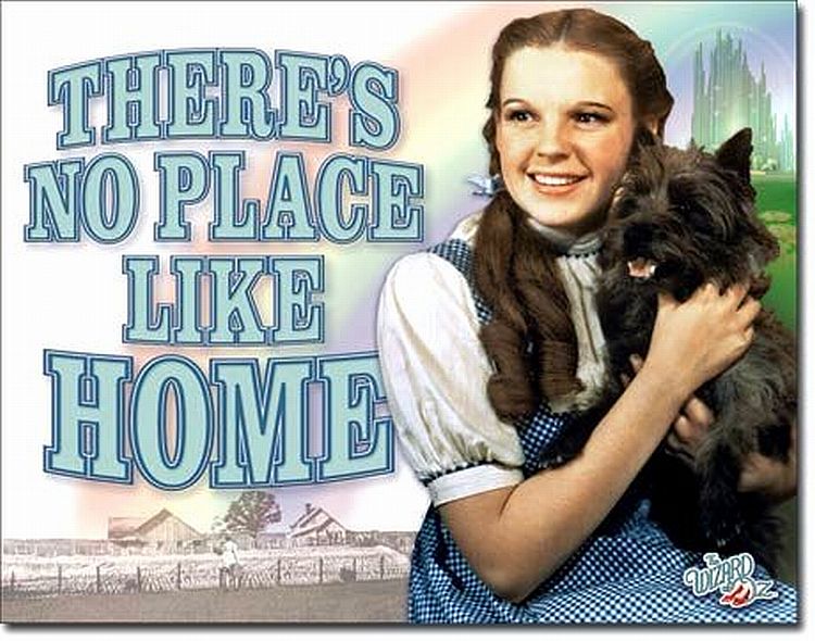 Desperate Enterprises SIGWOP Wizard of Oz No Place Metal Tin Sign, Blue