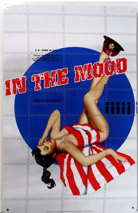 Signs 4 Fun SIGWWM Art-in The Mood Bomber Metal Sign, Blue