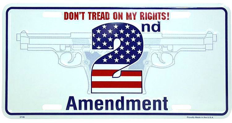 Signs 4 Fun Parody License Plate | 2nd Amendment | 12 x 6 Decorative License Plate | Decoration Plate for Vehicle/Wall | Man Cave Decorations | Made in The USA