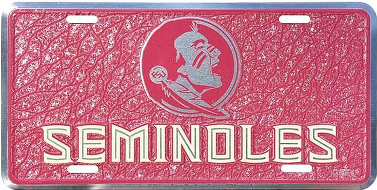 Signs 4 Fun Parody License Plate | FL State Mosaic | 12 x 6 Decorative License Plate | Decoration Plate for Vehicle/Wall | Man Cave Decorations | Made in the USA