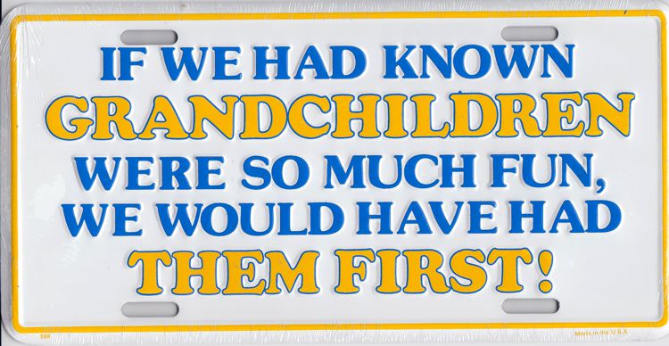 Signs 4 Fun Parody License Plate | Grandchildren | 12” x 6” Decorative License Plate | Decoration Plate for Vehicle/Wall | Man Cave Decorations | Made in the USA