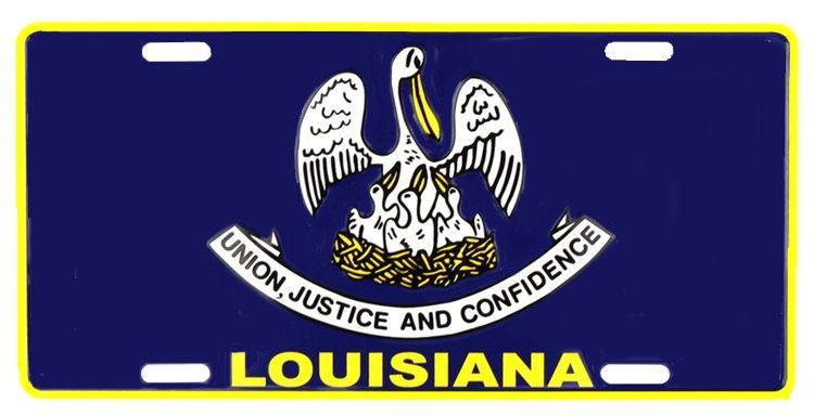 Signs 4 Fun Parody License Plate | Louisiana Flag | 12 x 6 Decorative License Plate | Decoration Plate for Vehicle/Wall | Man Cave Decorations | Made in The USA