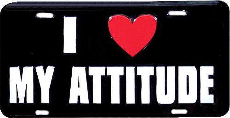 Signs 4 Fun Parody License Plate | I Love My Attitude | 12 x 6 Decorative License Plate | Decoration Plate for Vehicle/Wall | Man Cave Decorations | Made in The USA