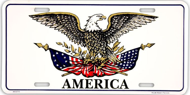 Signs 4 Fun Parody License Plate - America Eagle - 12” x 6” Decorative License Plate Wall Decor - Decoration Plate Man Cave + Garage - Made in The USA