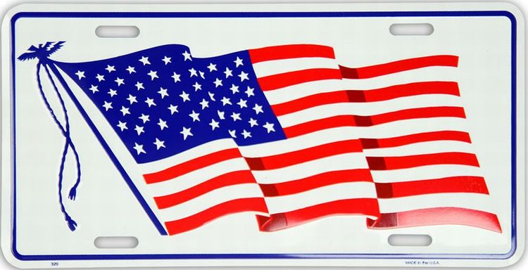 Signs 4 Fun Parody License Plate | US Flag Waving | 12 x 6 Decorative License Plate | Decoration Plate for Vehicle/Wall | Man Cave Decorations | Made in The USA