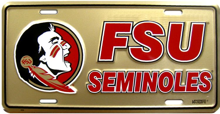 Signs 4 Fun Parody License Plate | Florida State Natural | 12 x 6 Decorative License Plate