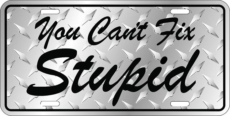Signs 4 Fun Parody License Plate | Can t Fix Stupid | 12 x 6 Decorative License Plate Wall Decor - Decoration Plate Man Cave + Garage - Made in The USA