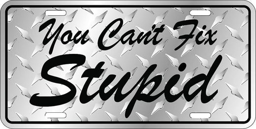 Signs 4 Fun Parody License Plate | Can t Fix Stupid | 12 x 6 Decorative License Plate Wall Decor - Decoration Plate Man Cave + Garage - Made in The USA