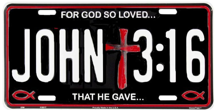 Signs 4 Fun Parody License Plate | John 3:16 | 12 x 6 Decorative License Plate | Decoration Plate for Vehicle/Wall | Man Cave Decorations | Made in The USA