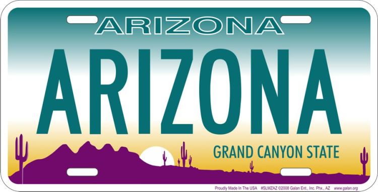 Signs 4 Fun Parody License Plate - Arizona - 12 x 6 Decorative License Plate Wall Decor - Decoration Plate Man Cave + Garage - Made in The USA