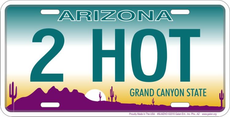 Signs 4 Fun Parody License Plate | AZ 2 Hot | 12 x 6 Decorative License Plate | Decoration Plate for Vehicle/Wall | Man Cave Decorations | Made in The USA